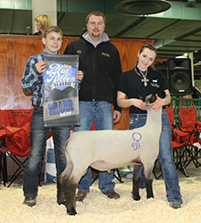 Champion Ram