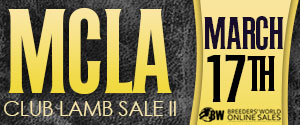 Online Sale