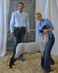 Jackpot Sheep CHampions