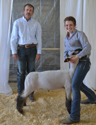 Jackpot Sheep CHampions