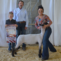 Jackpot Sheep CHampions