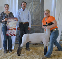 Jackpot Sheep CHampions